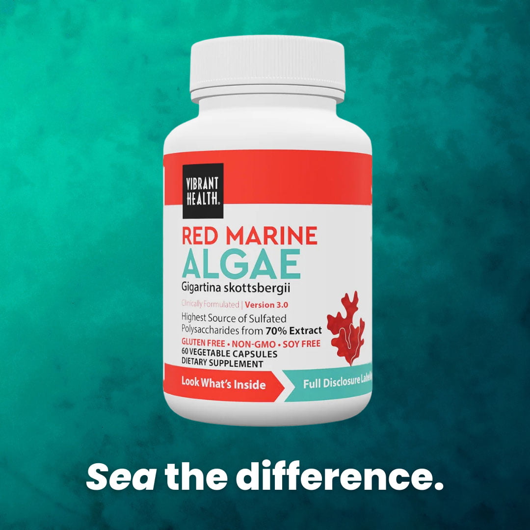 Red Marine Algae Gigartina Capsules 500mg (Premium Sea Moss) - Image 2